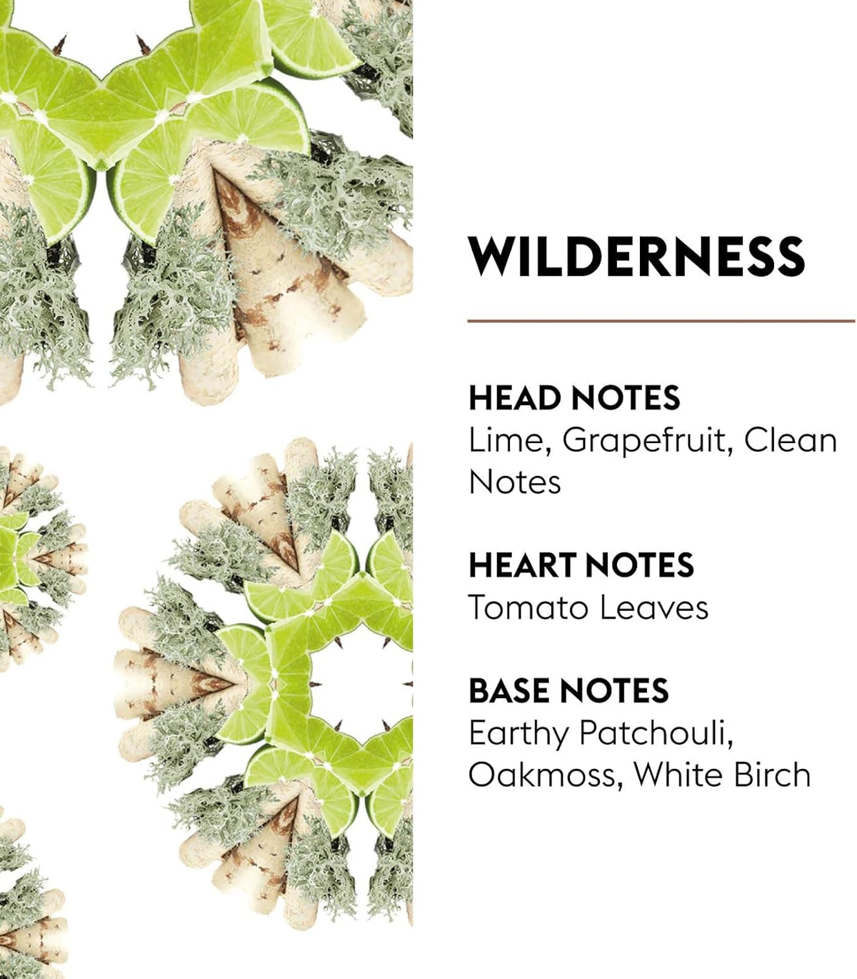 MAISON BERGER Wilderness Fragrance Refill – 1 Liter (33.8 Fluid Ounces) Air Freshener with Green &