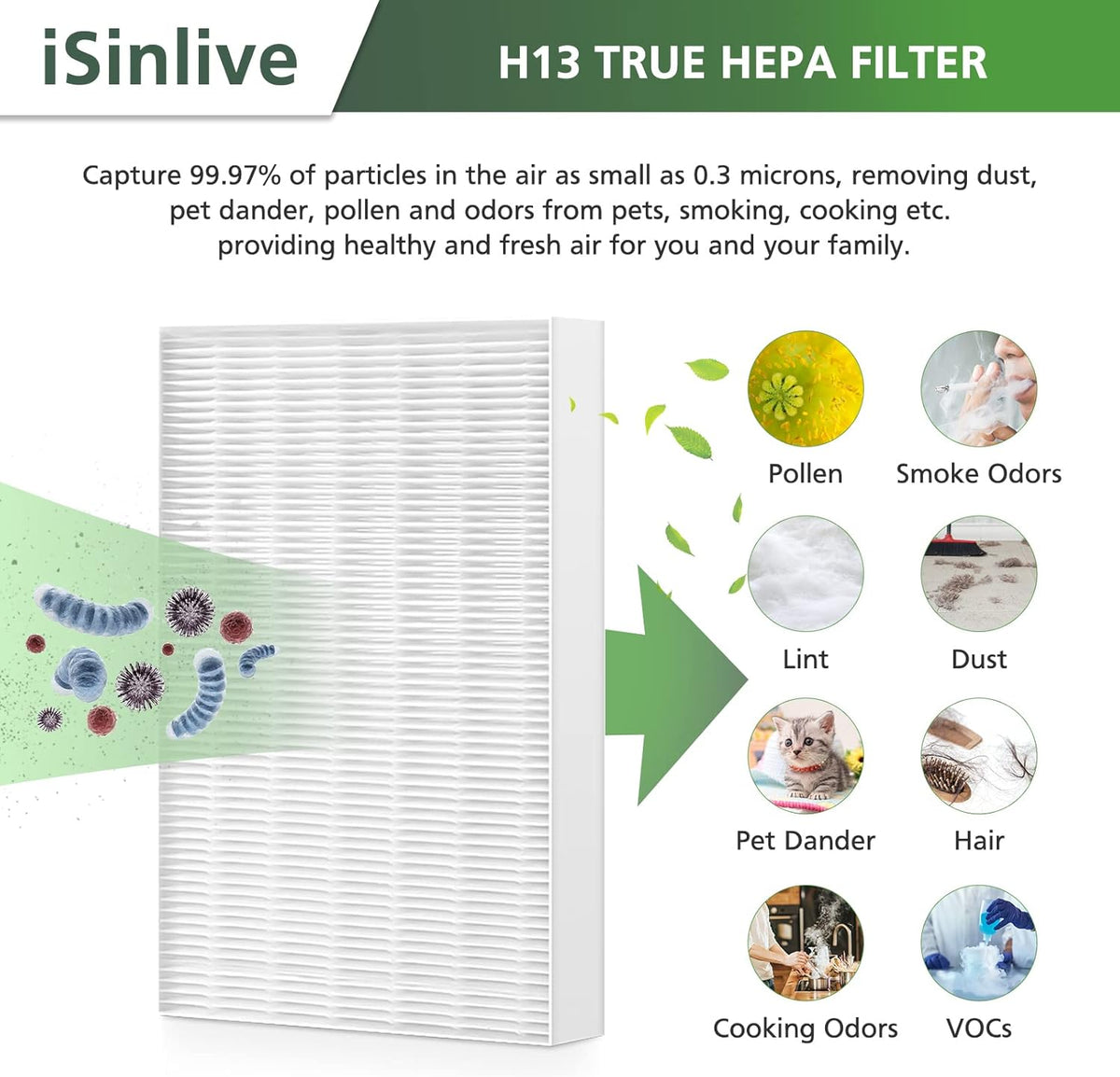 Replacement Filter R Compatible with Honeywell Air Purifier HPA300 HPA200 HPA100 and 5000 Series, 6