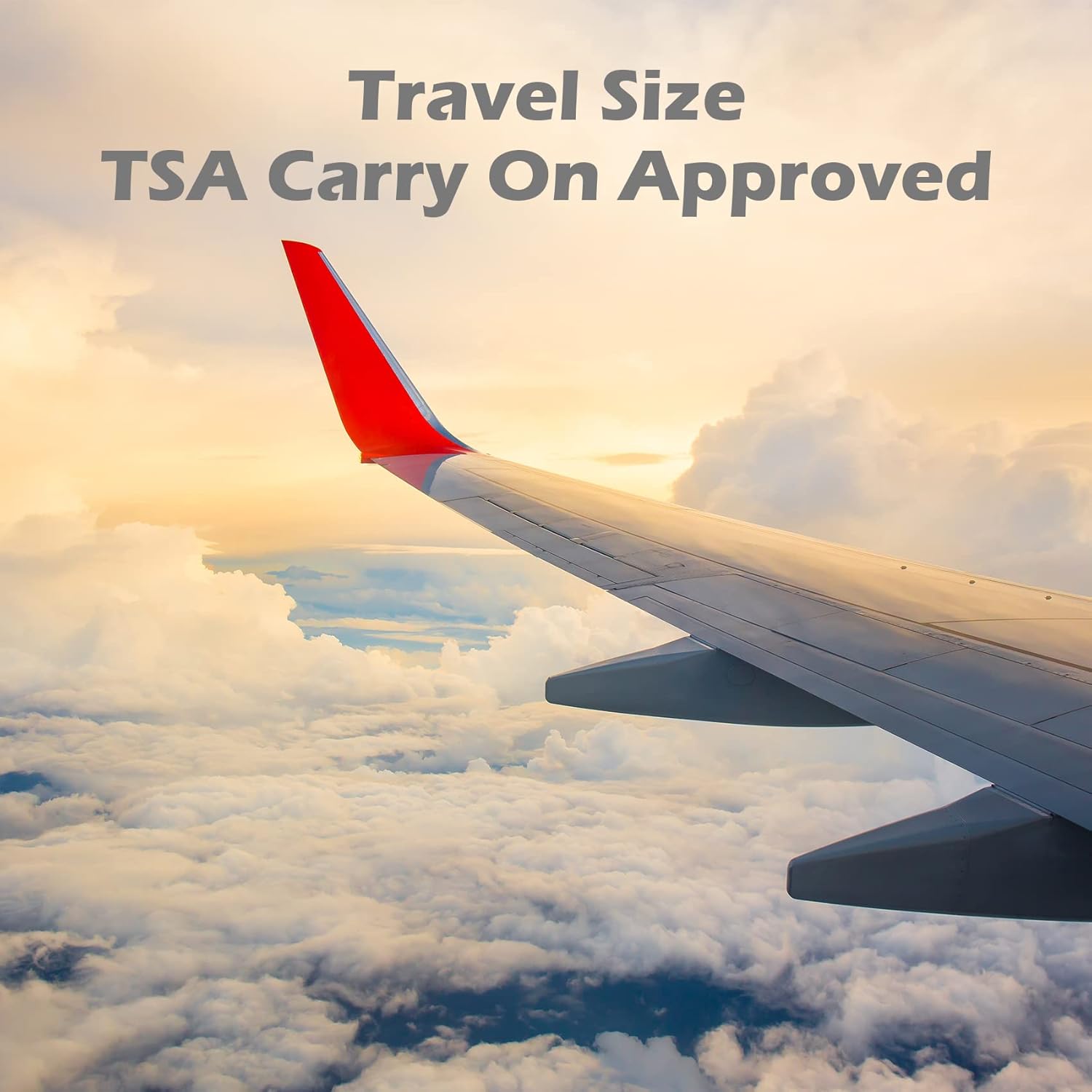 TailaiMei 12 Pieces Travel Pouches for Toiletries, TSA Approved Portable Travel Size, Refillable