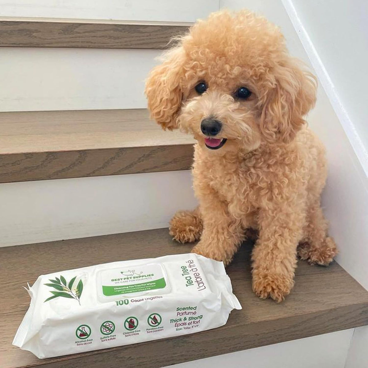 Best Pet Supplies Pet Grooming Wipes for Dogs & Cats,Deodorizer for Coats & Dry, Itchy, or