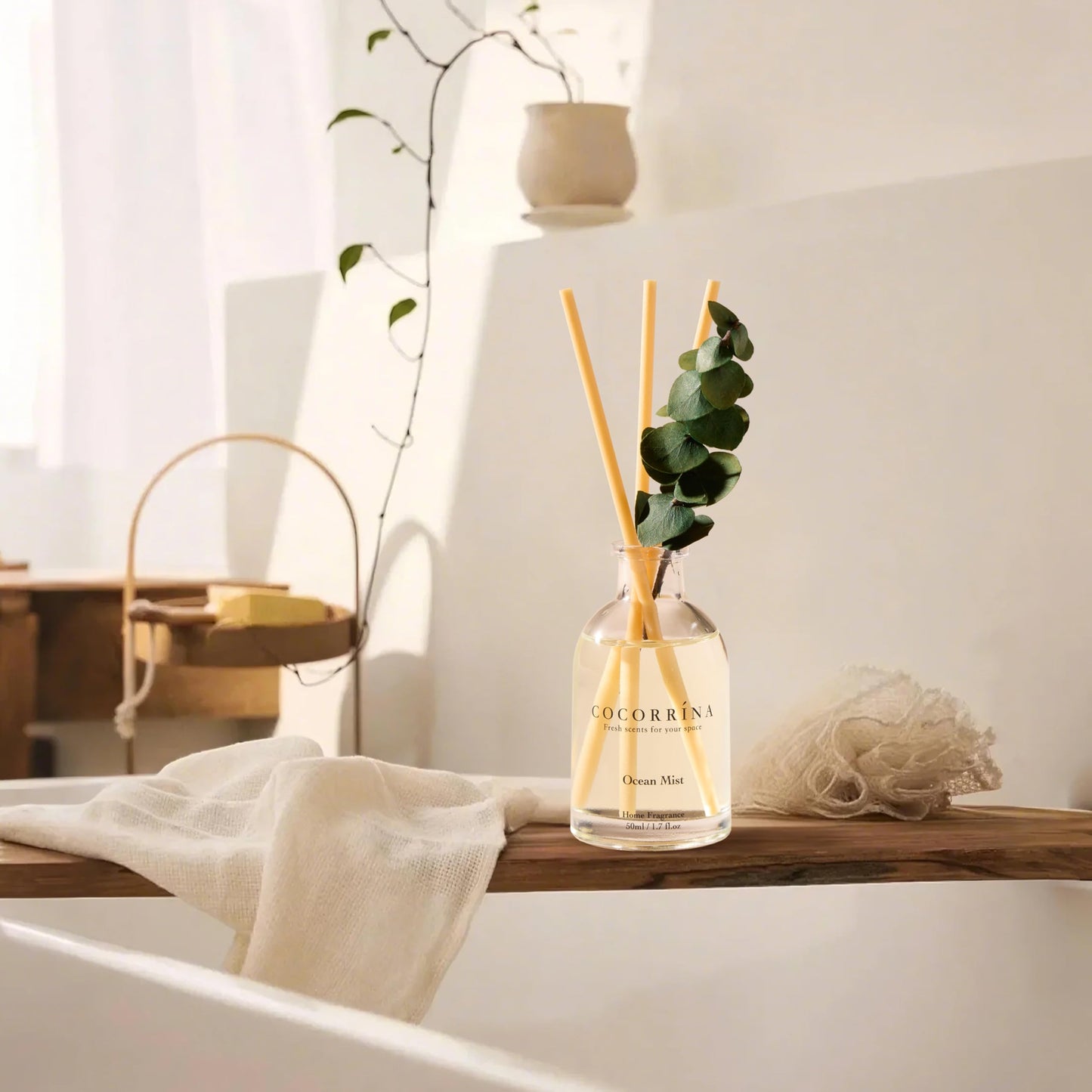COCORRÍNA Eucalyptus Reed Diffuser Set of 3 - Eucalyptus & Moss, Clean Linen, Ocean Mist Scents