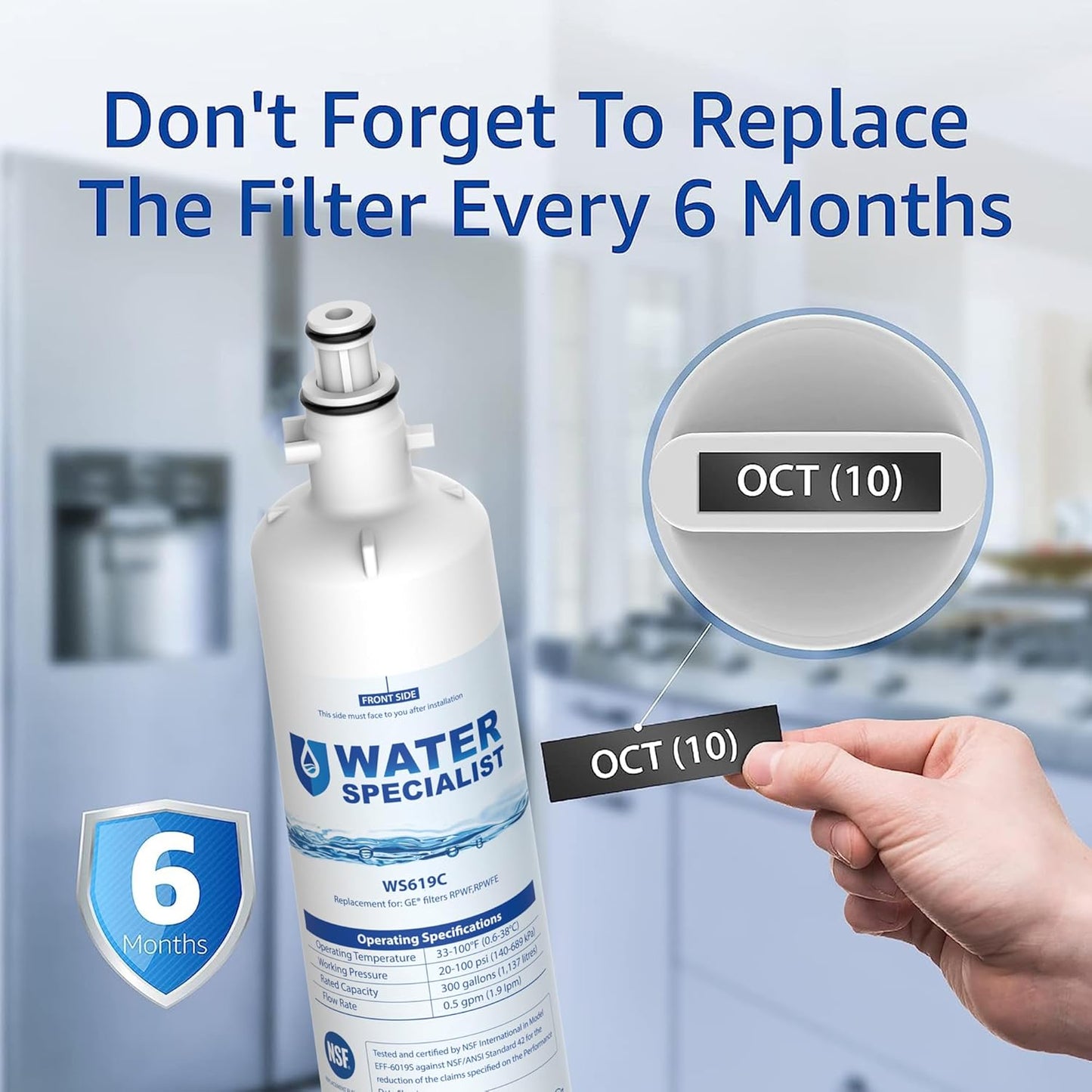 Waterspecialist Replacement for GE® RPWFE®, RPWF (Built-in CHIP) Refrigerator Water Filter