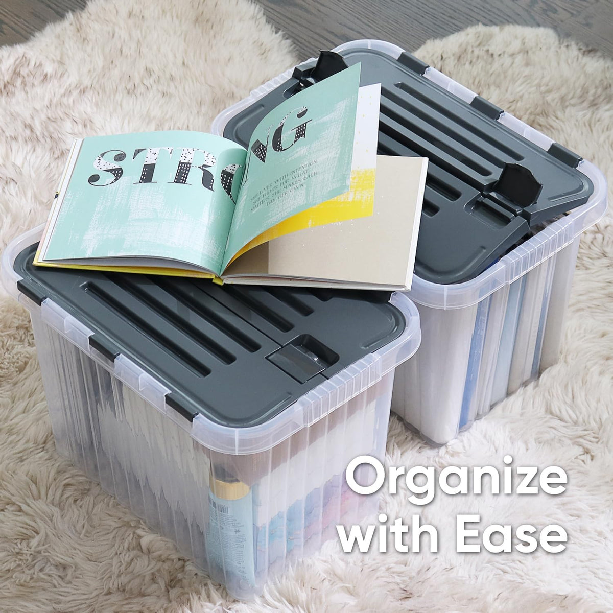 Superio 26 L Deep Storage Container with Hinged Lid (2 Pack)
