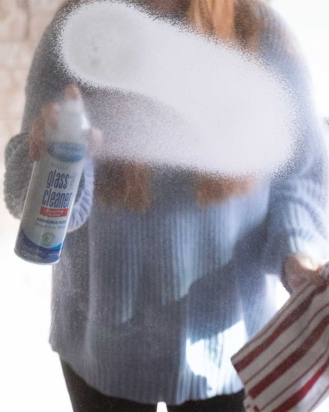 Sprayway Glass Cleaner with Foaming Spray for a Streak-Free Shine for Home and Automotive Use, 19