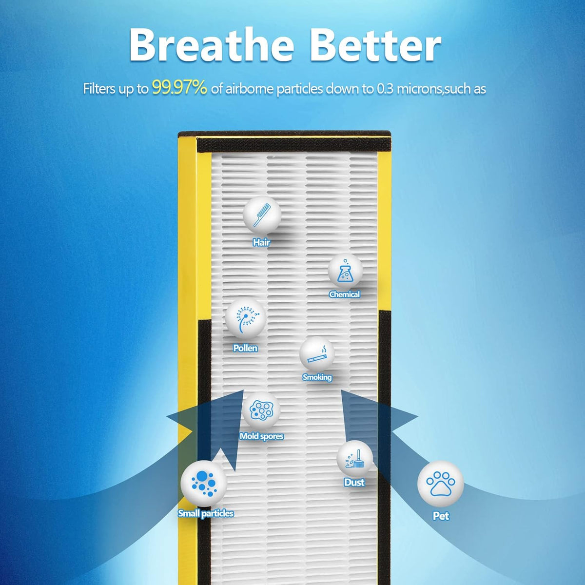 6 Packs FLT4825 H13 True HEPA Replacement Filter B Compatible with AC4300BPTCA, CDAP4500BCA