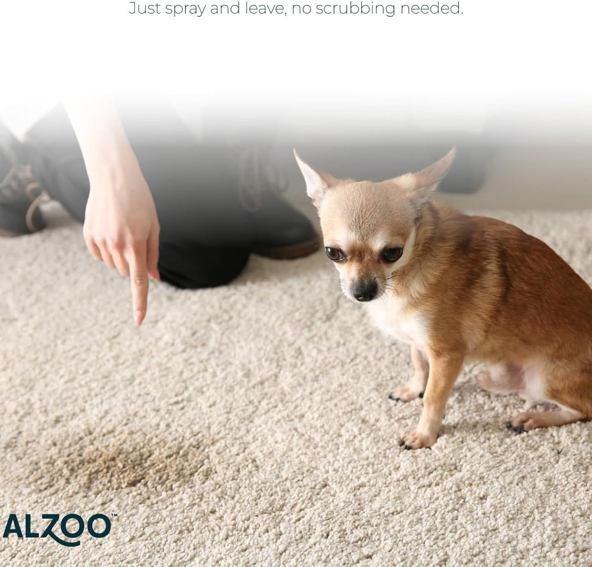 ALZOO Concentrated Stain & Odor Remover Refill Bottle, 100% Plant-Based Active Ingredients, 1.1 Fl.