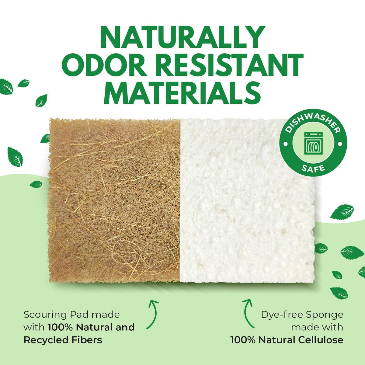 10 Pack Biodegradable Natural Kitchen Sponge - Compostable Cellulose and Coconut Walnut Scrubber