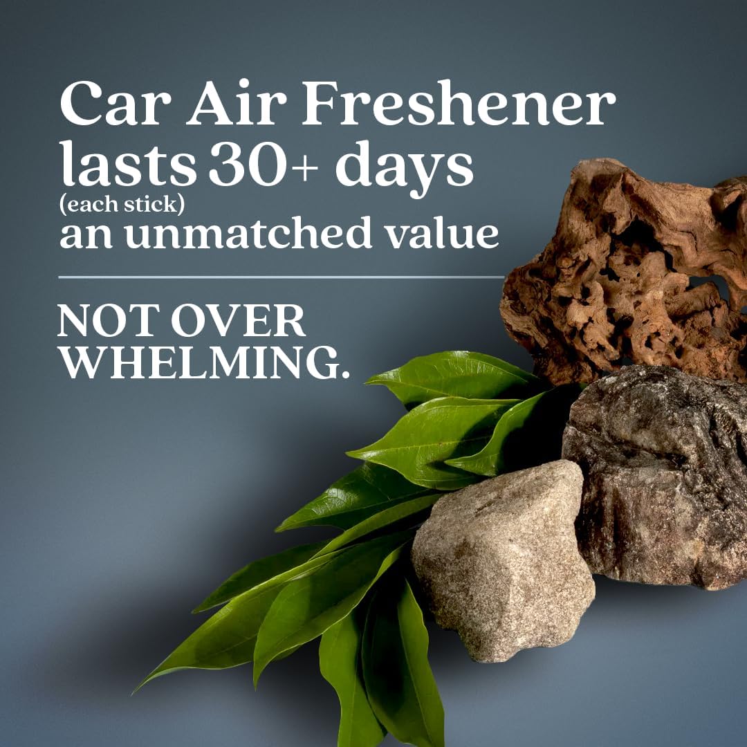 Enviroscent Non-Toxic Car Air Freshener (Coastal Storm & Teakwood) Natural Car Air Freshener |