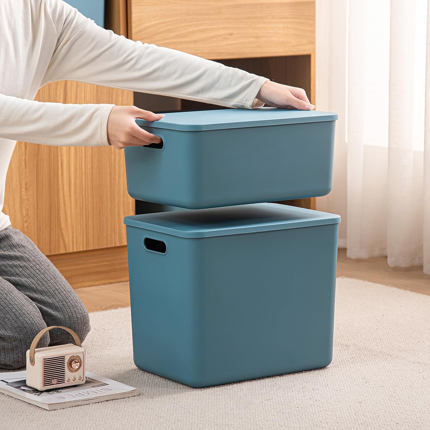 Plastic Storage Bins with lids,Storage Baskets,Container with handle,Storage Organizer Bins for