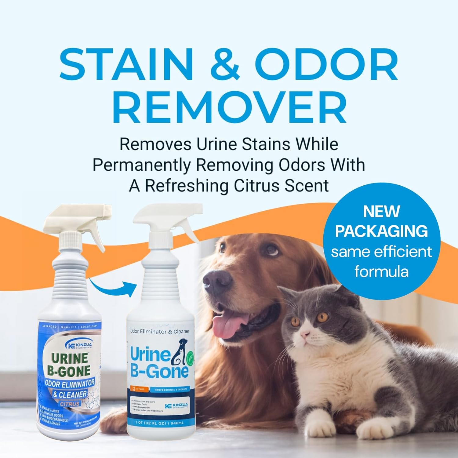 KINZUA ENVIRONMENTAL Urine B-Gone, Professional Enzyme Odor Eliminator & Pet Stain Remover, Human
