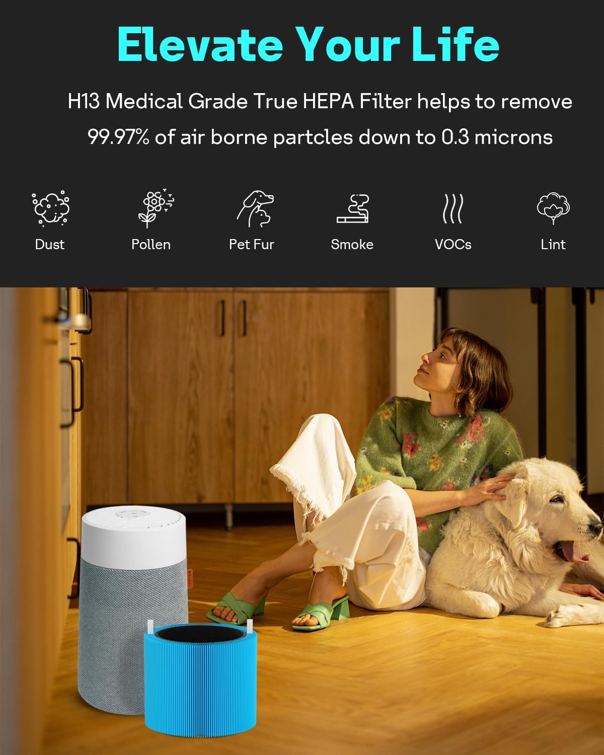 Leemone 2 Pack mini Max AllergenBlock Filter Compatible with Blueair Blue Pure Mini Max Air