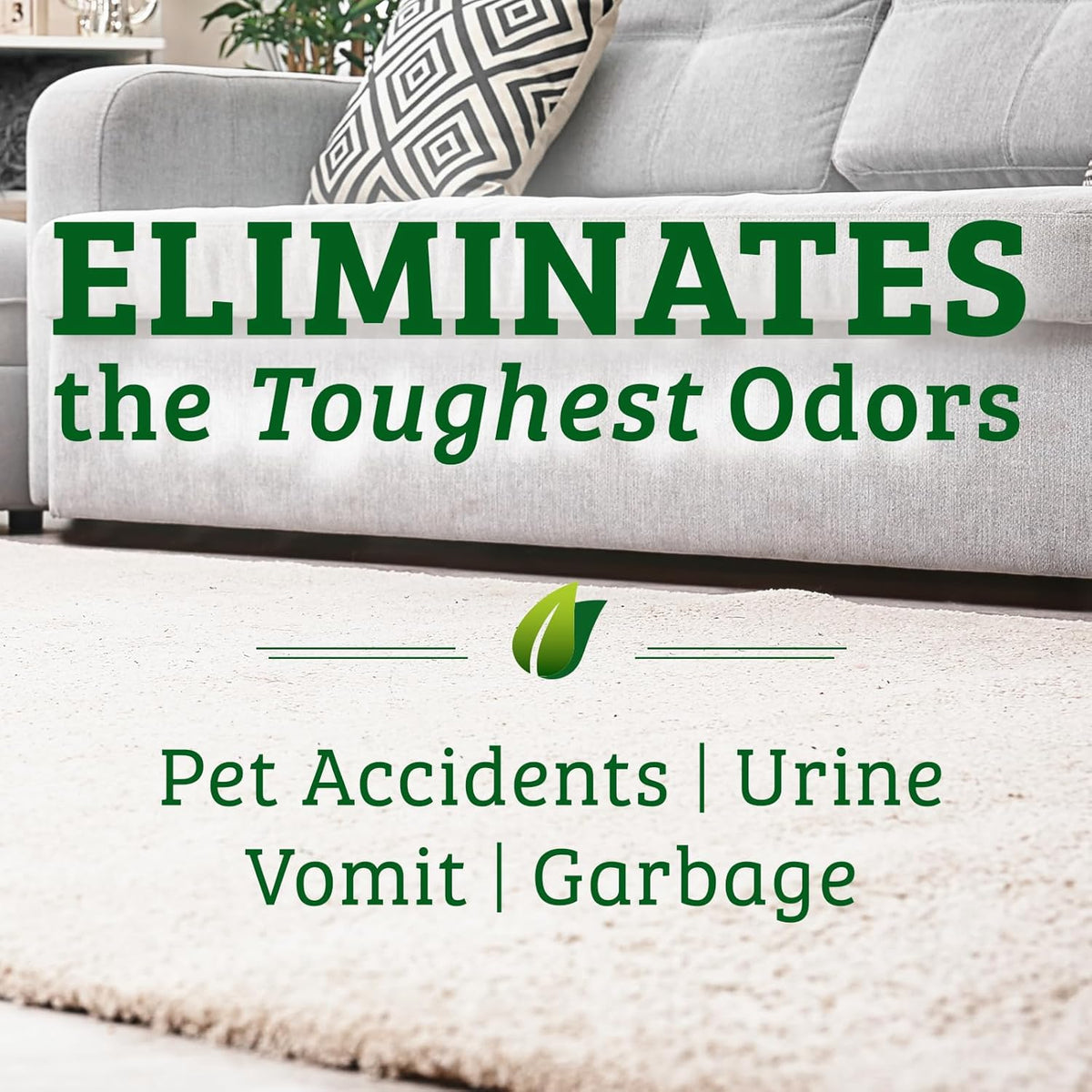 Biokleen Bac-Out Pet Stain Remover - Enzymatic, Natural, Plant-Based Destroys Stains & Odors, Safe