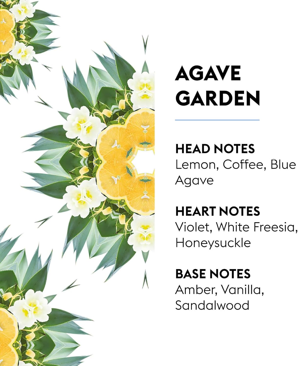 MAISON BERGER - Agaves Garden - Lampe Berger Fragrance Refill for Home Fragrance Oil Diffuser - Air
