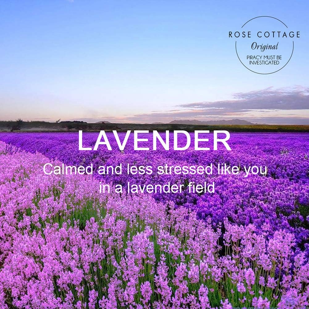 ROSE COTTAGE Large 12 Packs Lavender Hanging Closet Deodorizer Air Freshener Long Lasting Scented