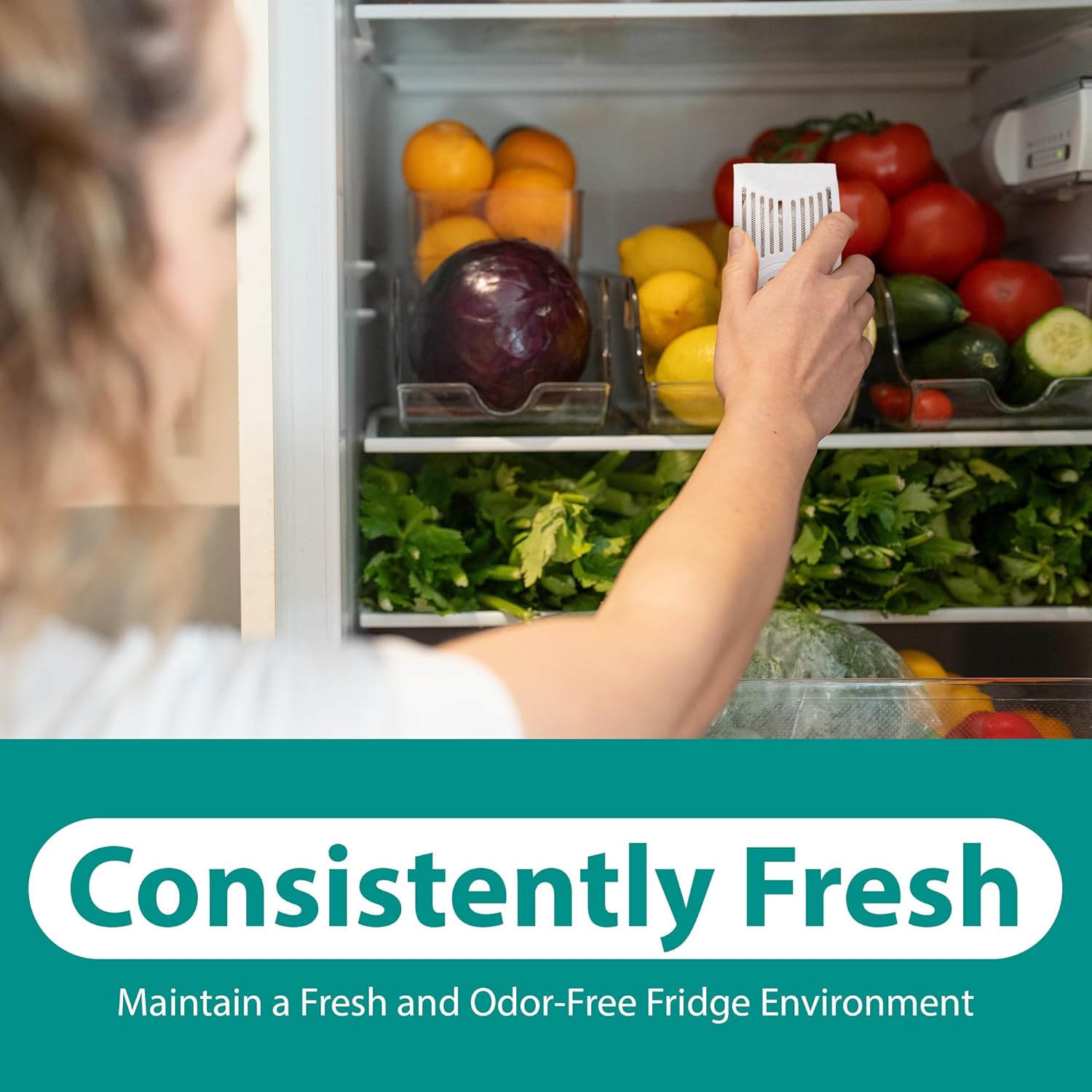 Refrigerator Deodorizer with Zeolites (4-Pack) - Odor Eliminator for Fridge & Freezer - Outshines