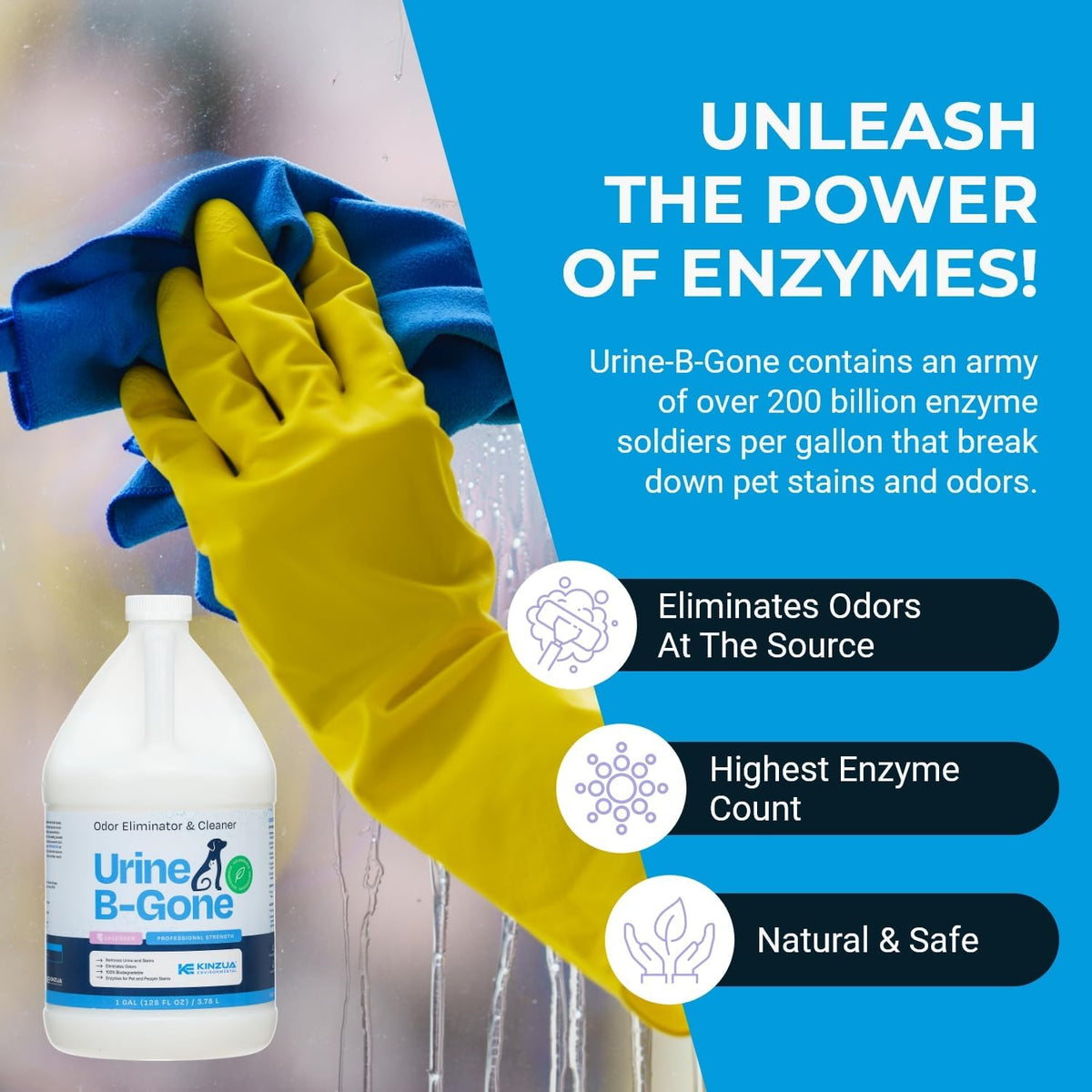 KINZUA ENVIRONMENTAL Urine B-Gone, Professional Enzyme Odor Eliminator & Pet Stain Remover, Human
