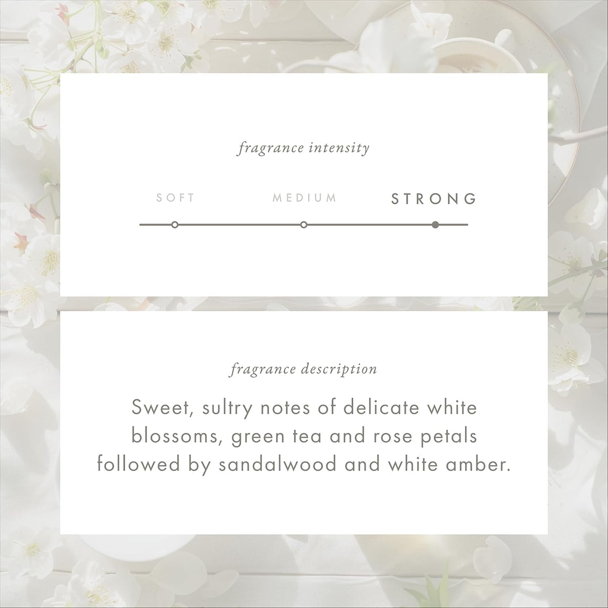 ScentAir Whisper Home Monthly Plug-in Refill, Fragrance Cartridge for Home and Office, White