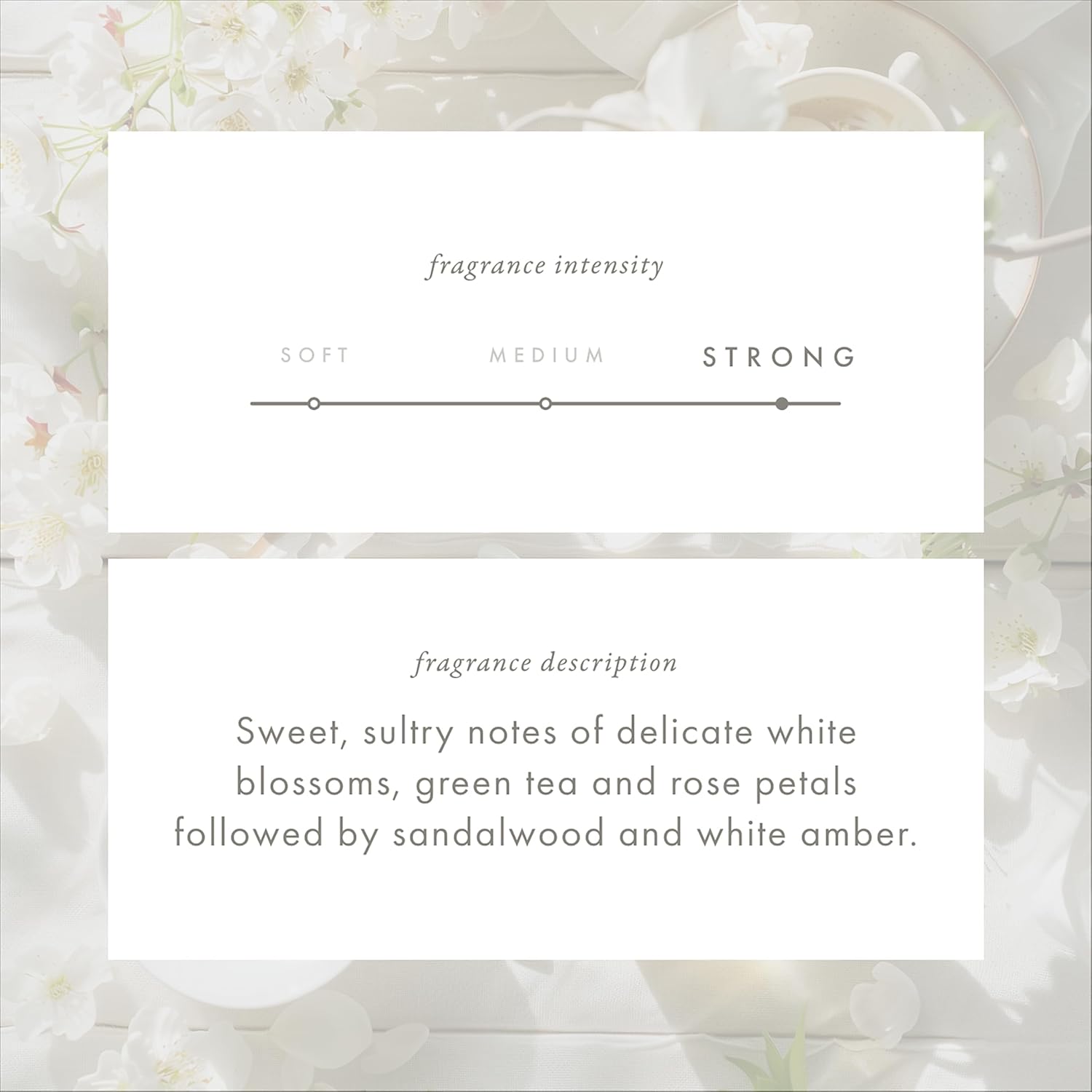 ScentAir Whisper Home Monthly Plug-in Refill, Fragrance Cartridge for Home and Office, White