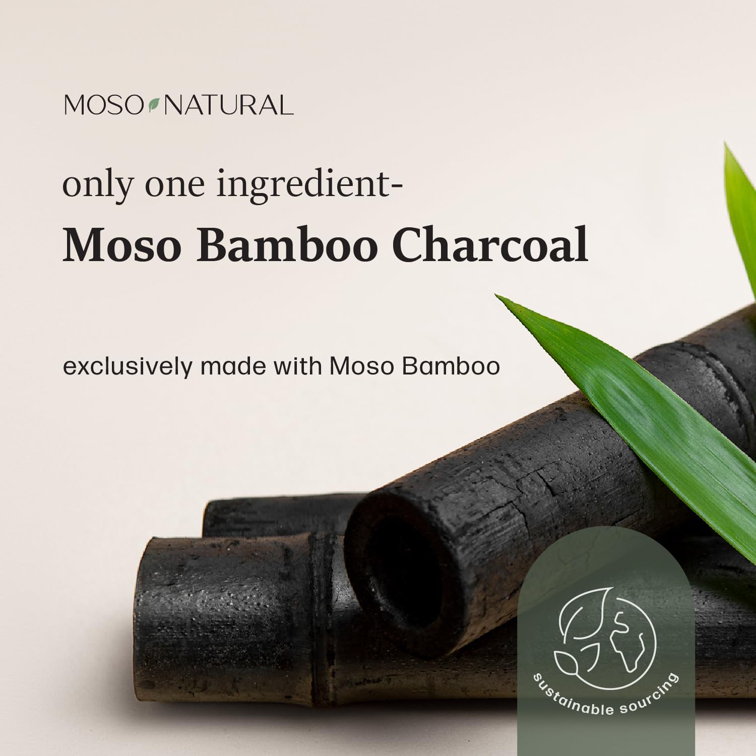 Moso Natural Shoe Deodorizer Inserts, Charcoal Odor Absorber for Shoes, Gym Bag & Boot Deodorizer