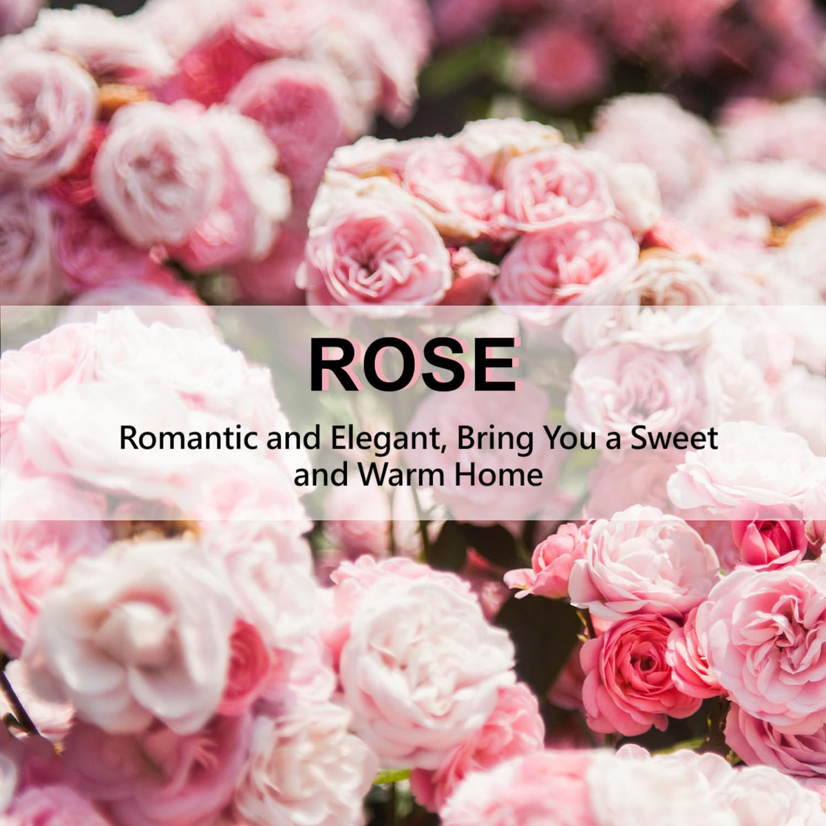 ROSE COTTAGE Large 12 Packs Rose Hanging Closet Deodorizer Air Freshener Long Lasting Scented
