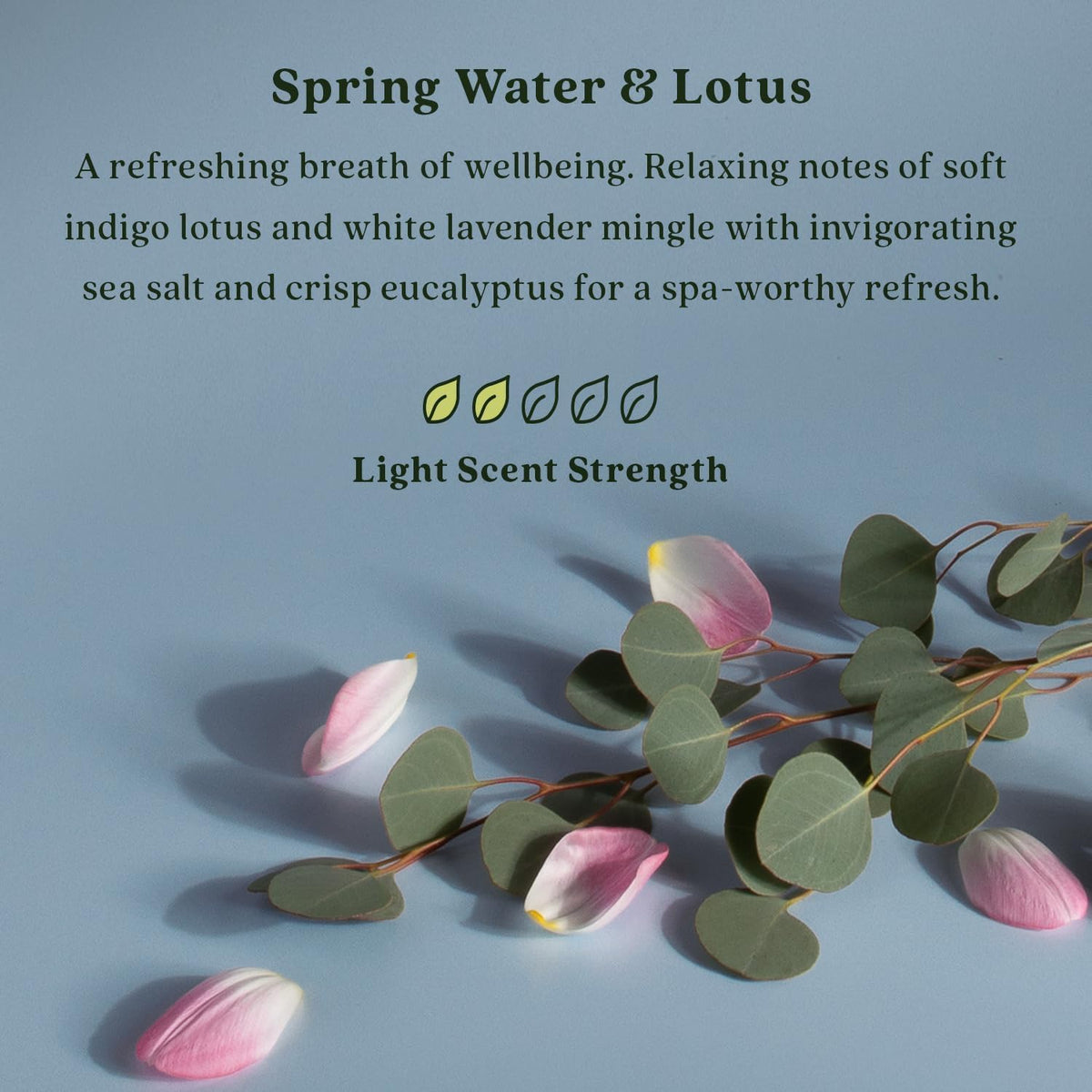 Enviroscent Non-Toxic Air Freshener for Home (Spring Water & Lotus) Essential Oil Diffuser | Home