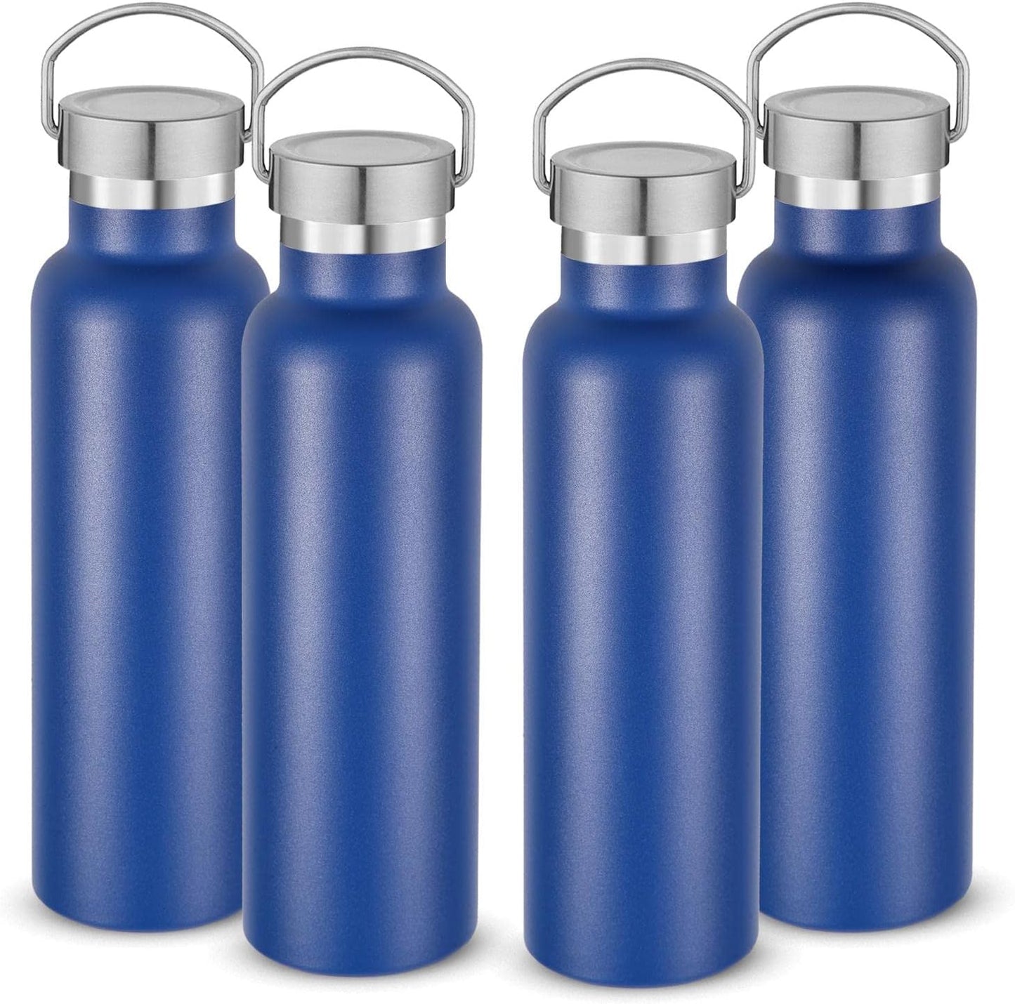 Neihepal 20 oz Insulated Water Bottles Bulk 4 Pack,Stainless Steel Double Wall Sport Bottle with