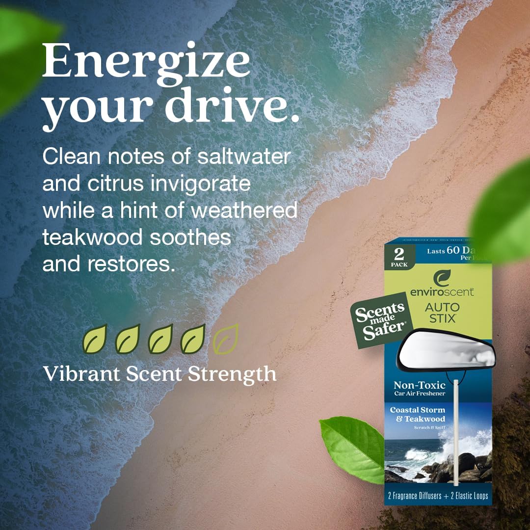 Enviroscent Non-Toxic Car Air Freshener (Coastal Storm & Teakwood) Natural Car Air Freshener |