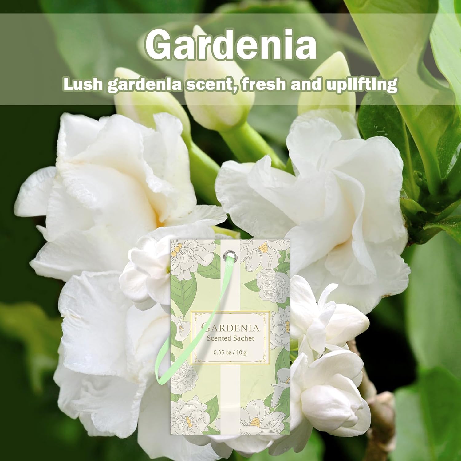 SCENTORINI Scented Sachets for Drawers and Closets, Gardenia Scent 14 Pack, Long-Lasting Sachets