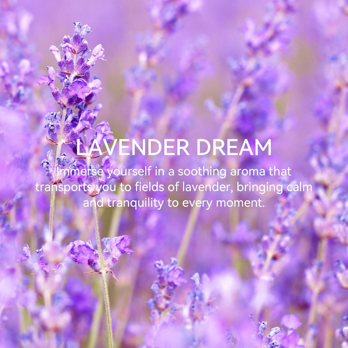 MYARO 20 Packs Fresh Lavender Sachets, Air Freshener for Drawer and Closet, Long-Lasting Sachets