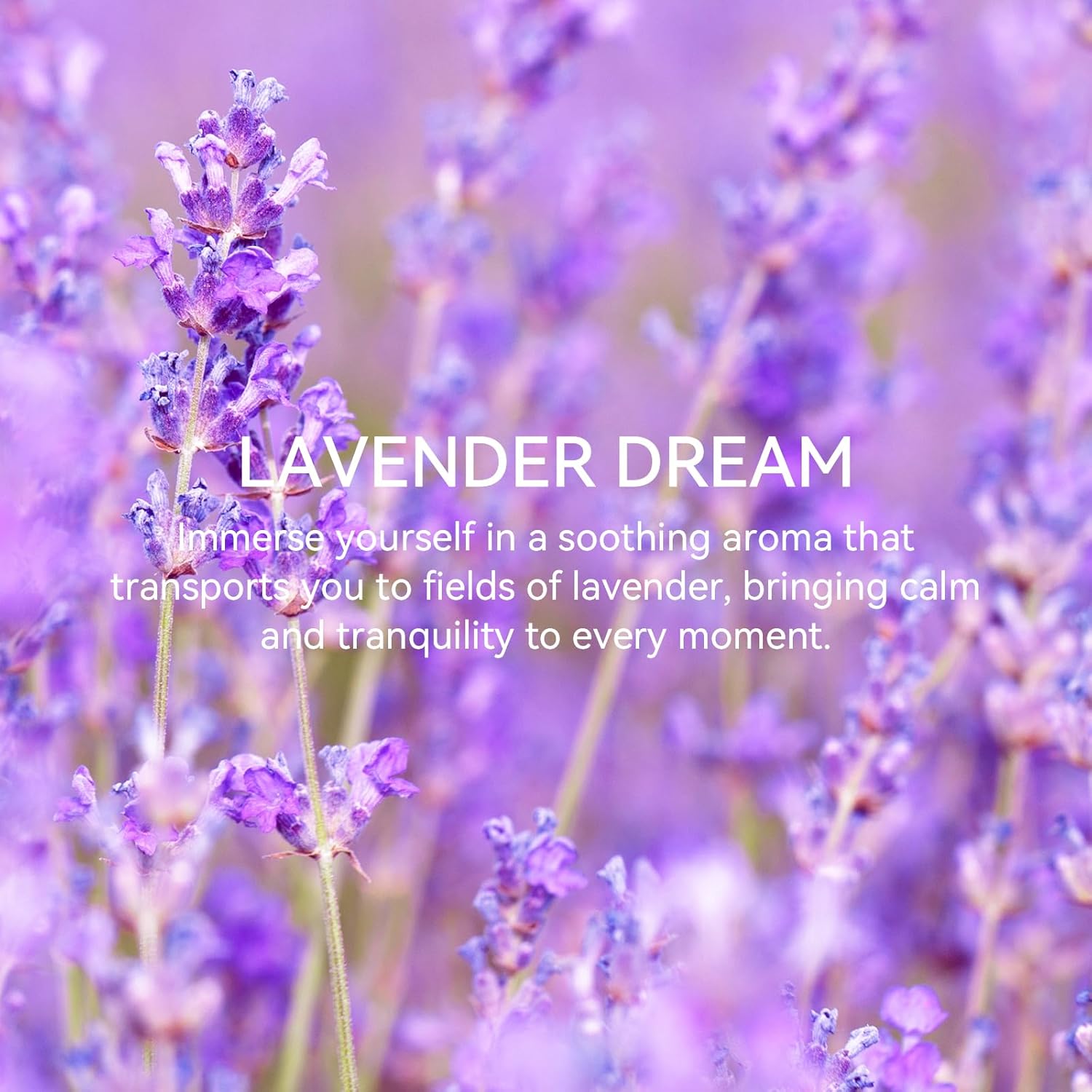 MYARO 20 Packs Fresh Lavender Sachets, Air Freshener for Drawer and Closet, Long-Lasting Sachets