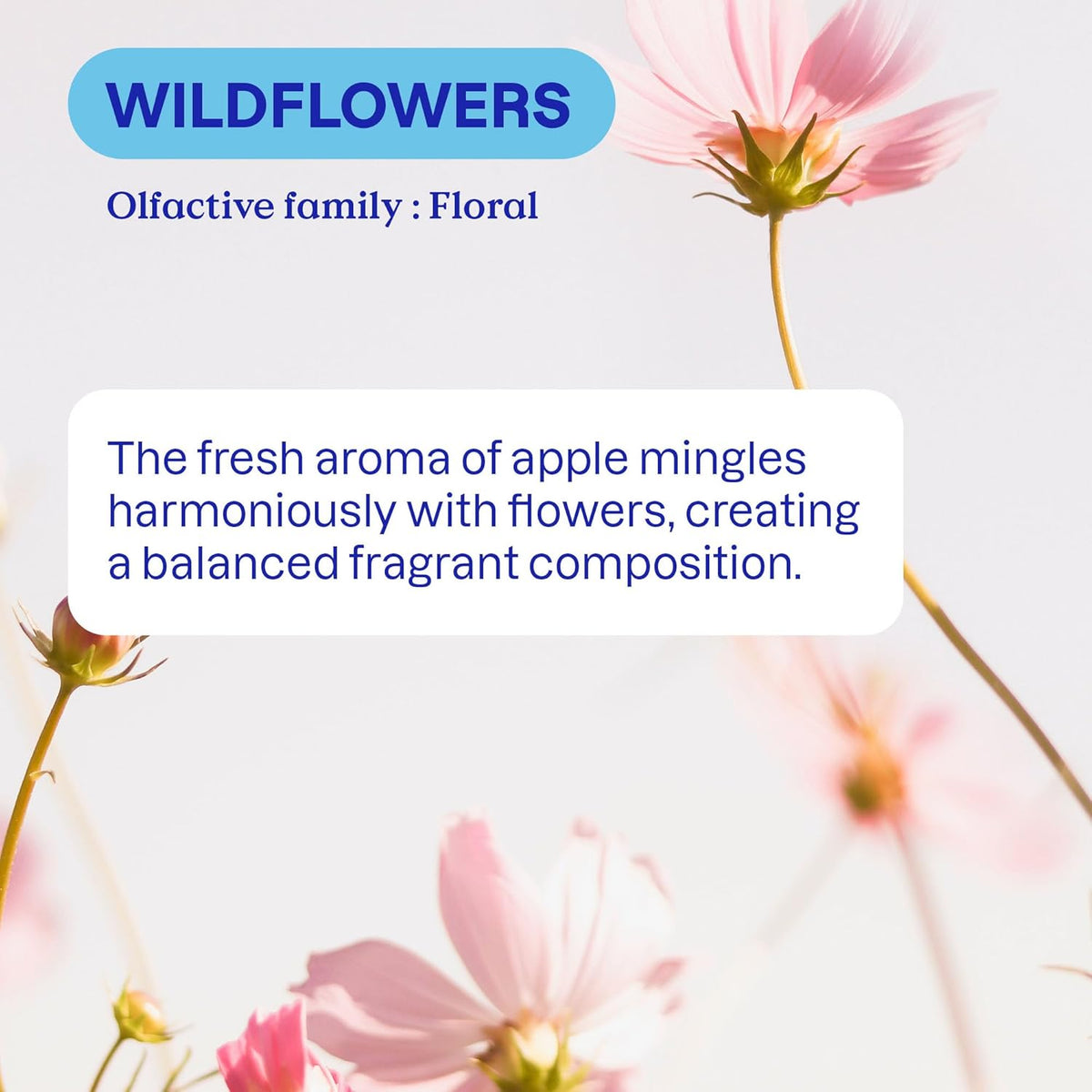 ATTITUDE Liquid Fabric Softener, Plant-Based & Vegan, HE Compatible, Naturally Derived, Wildflowers