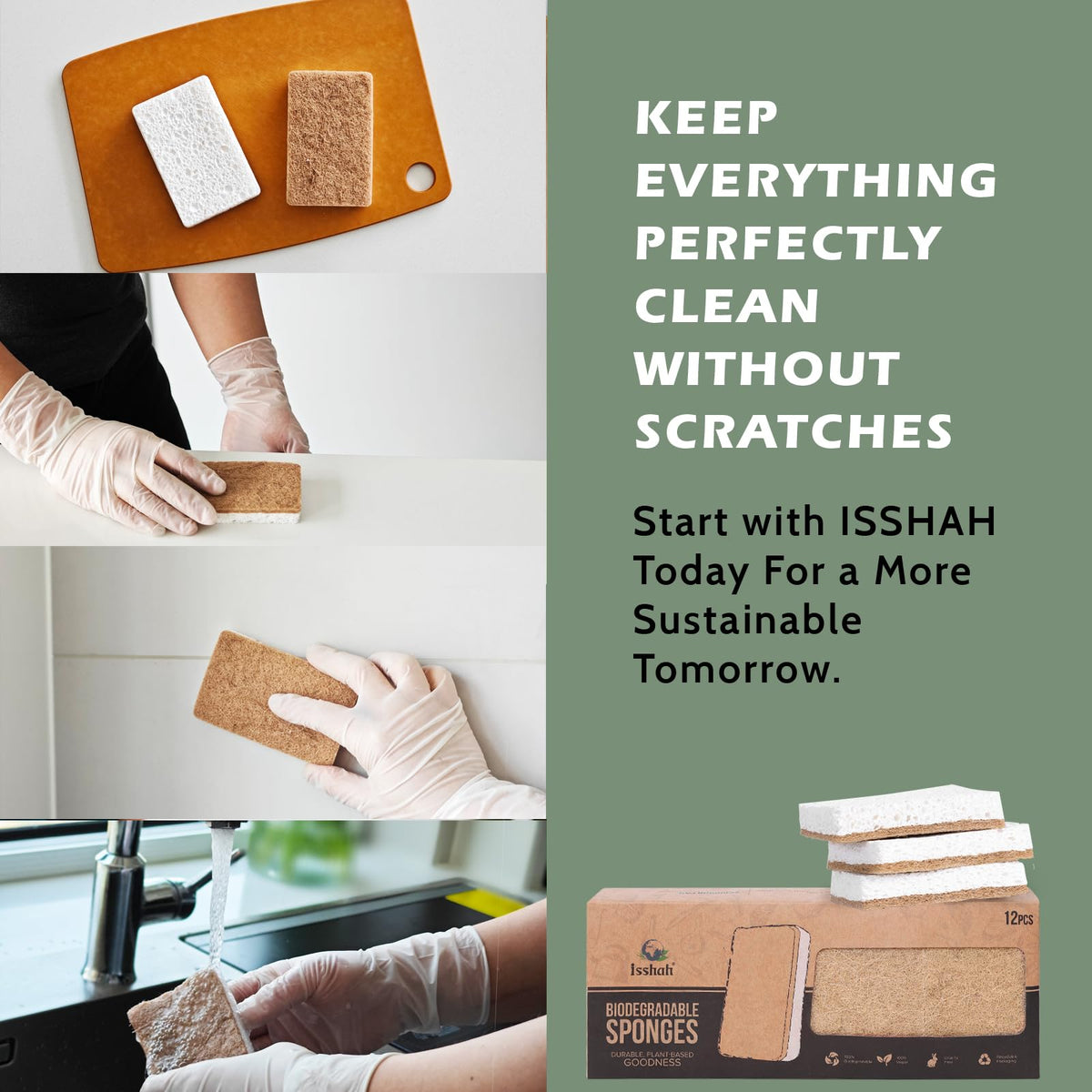 Isshah Plant-Based Kitchen Sponges - FSC Certified and PETA Approved, Natural, Eco-Friendly