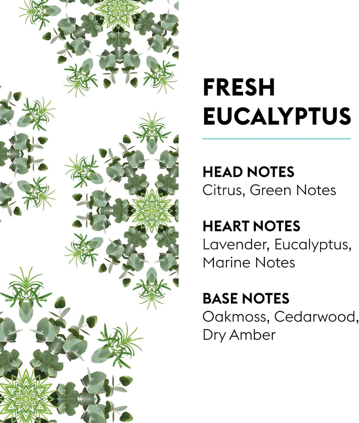 MAISON BERGER - New Fresh Eucalyptus - Lampe Berger Fragrance Refill for Home Fragrance Oil