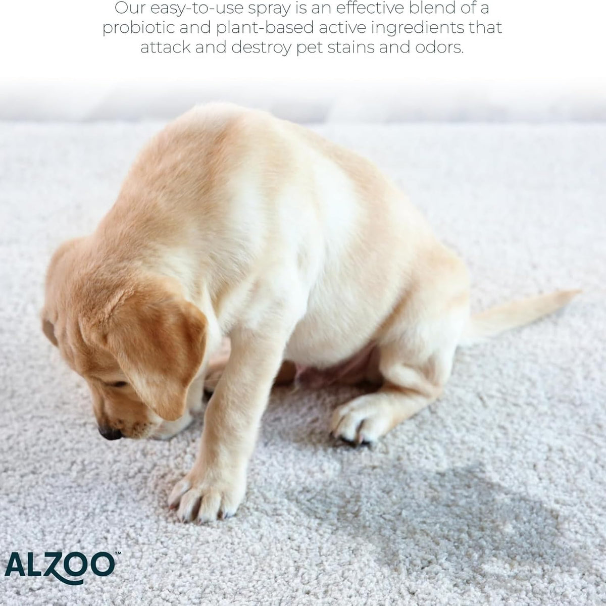 ALZOO Concentrated Stain & Odor Remover Refill Bottle, 100% Plant-Based Active Ingredients, 1.1 Fl.