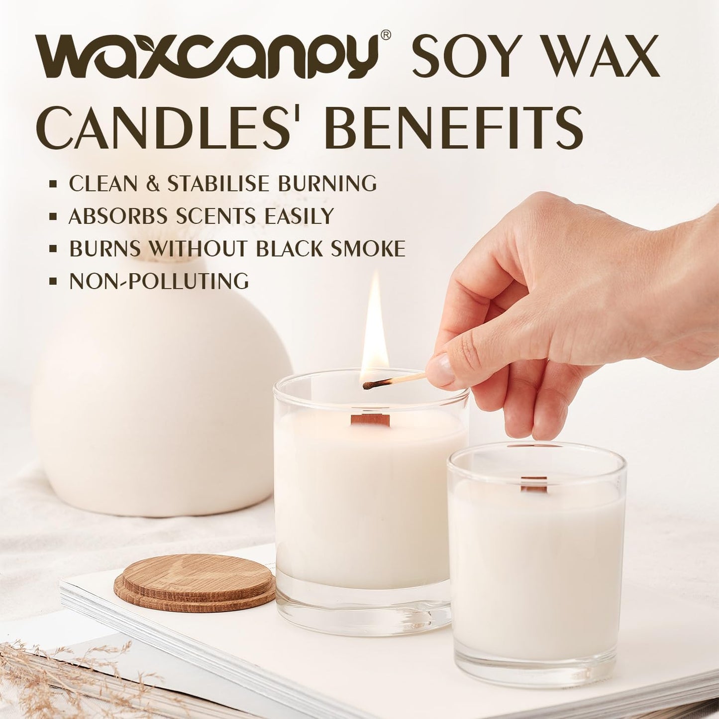 Soy Wax Flakes, Waxcanpy Natural Candle Wax, Organic Soy Wax for Candle Making from Farm, No