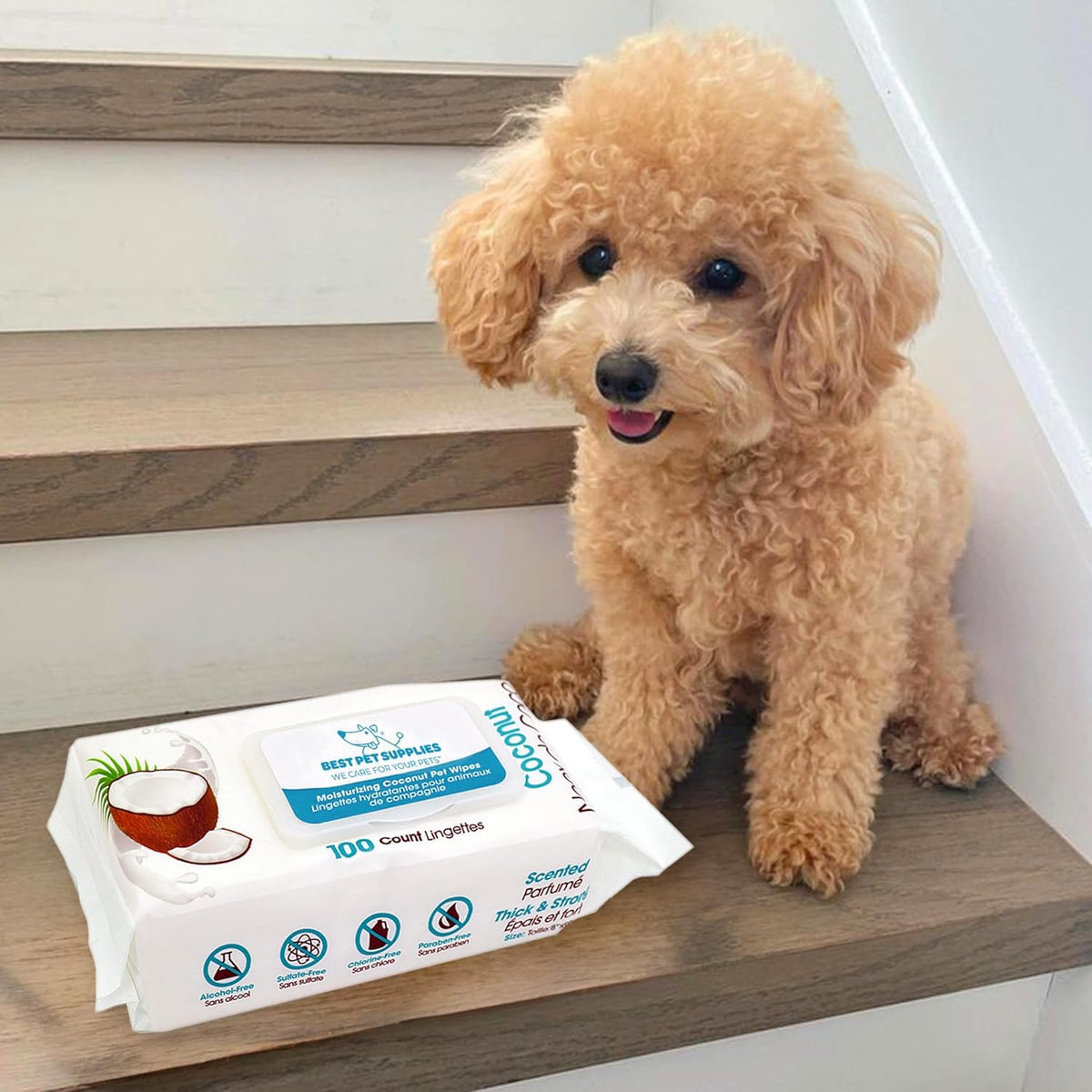Best Pet Supplies Pet Wipes for Dogs - Dog Wipes Cleaning Deodorizing, for Coats, Ears, Paws