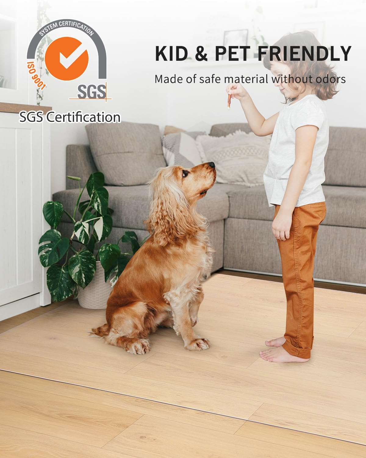 Area Mat for Hard Floors, 5'×7' Transparent PVC Area Rug for Home, Waterproof Durable Protector for
