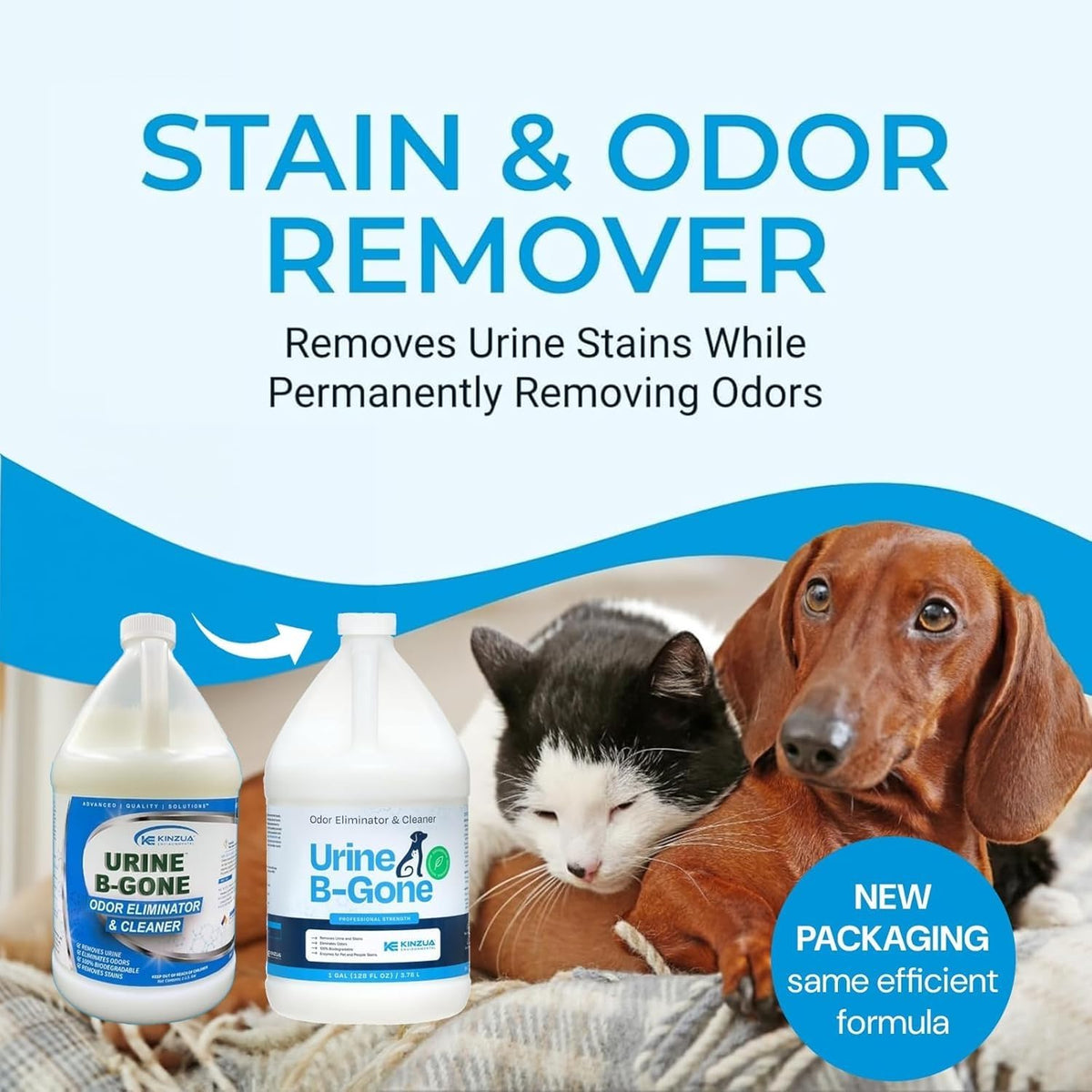 KINZUA ENVIRONMENTAL Urine B-Gone, Professional Enzyme Odor Eliminator & Pet Stain Remover, Human