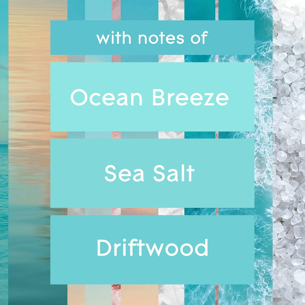 Glade PlugIns Refills Air Freshener, Sky & Sea Salt, Scented and Essential Oils for Home and