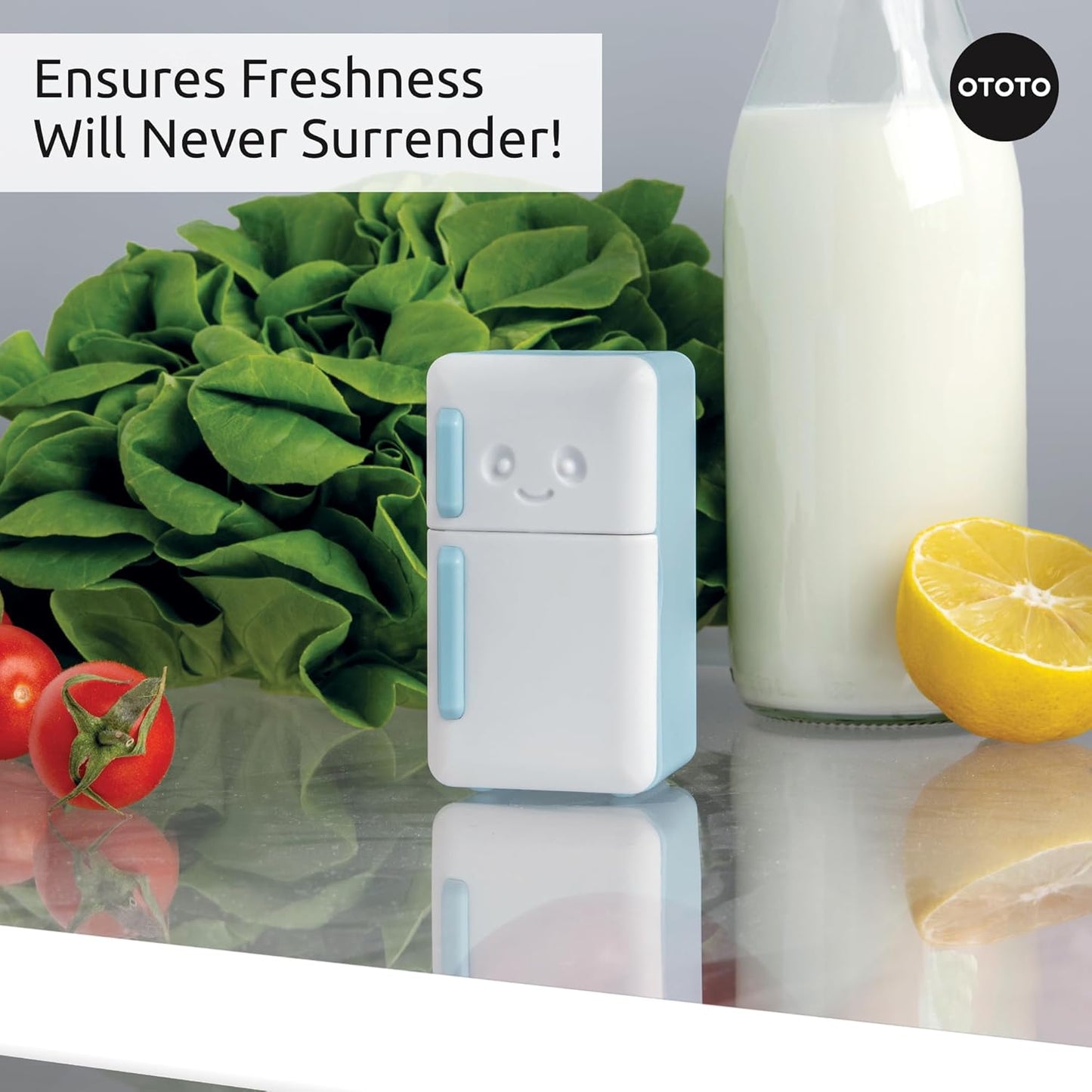 OTOTO Fridge Deodorizer - Refrigerator Deodorizer, Baking Soda Odor Absorber, Cute Kitchen