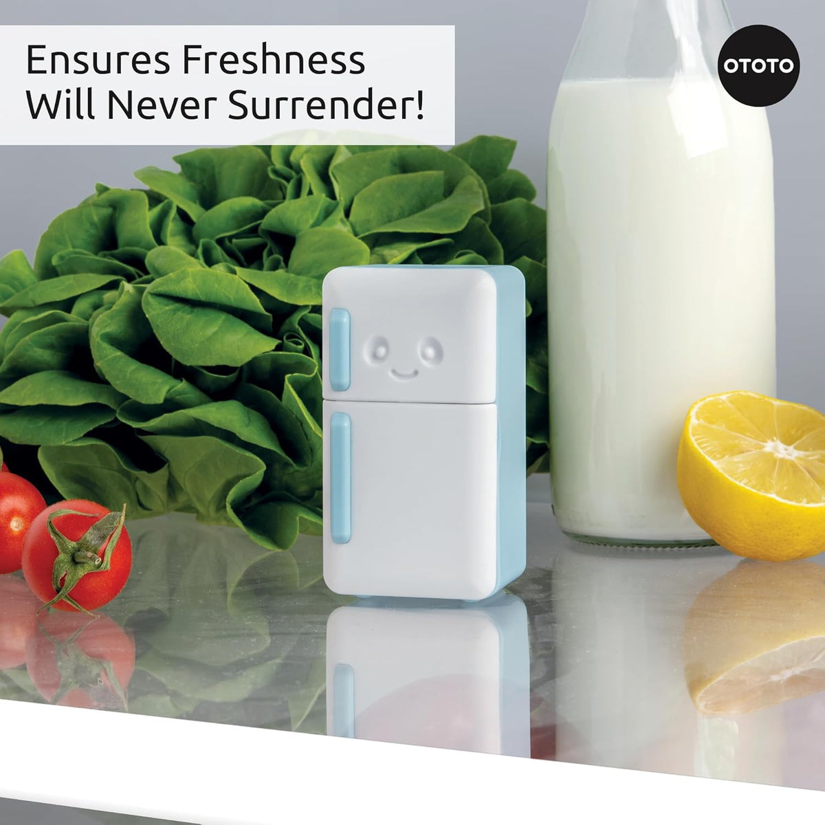 OTOTO Fridge Deodorizer - Refrigerator Deodorizer, Baking Soda Odor Absorber, Cute Kitchen