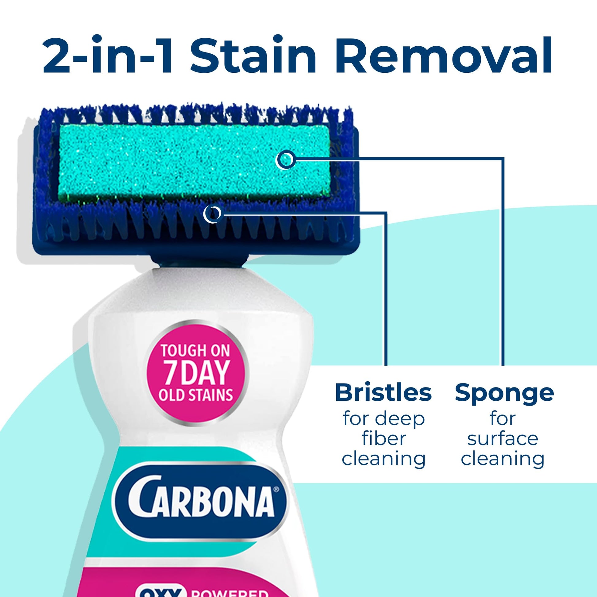 Carbona 2-in-1 Oxy-Powered Carpet Cleaner (13.5 Fl Oz), Spot Cleaner with Dual Sponge & Bristle