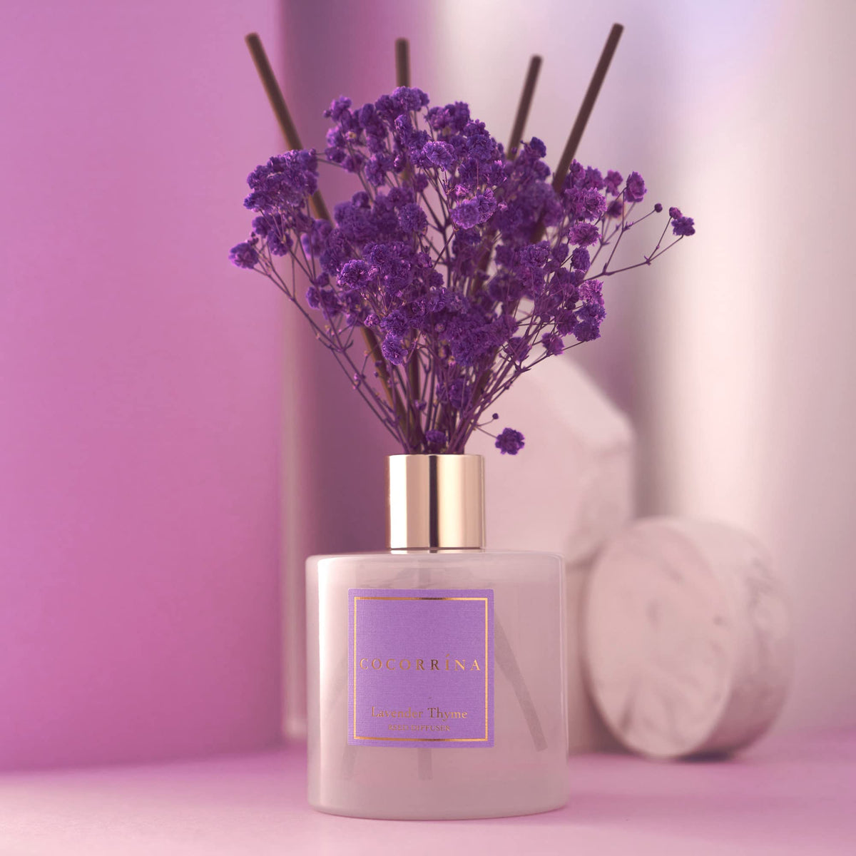 Cocorrína Premium Reed Diffuser Set with Preserved Baby's Breath & Cotton Stick Lavender Thyme |