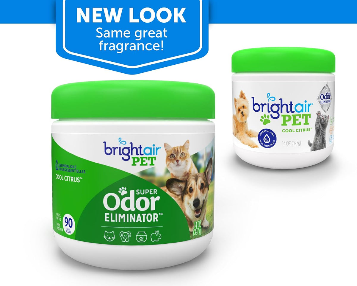 Bright Air 14 oz. Super Odor Eliminator, for Medium-Size Spaces, Cool Citrus Scent, Case of 6, Air