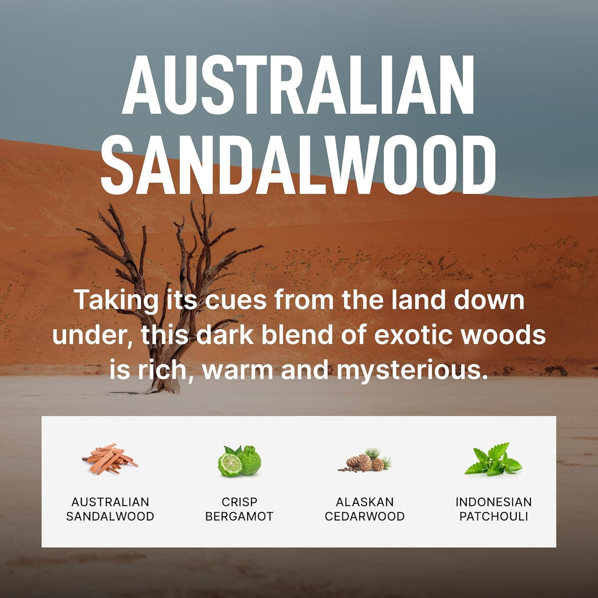 Laundry Sauce - Laundry Dryer Sheets (Australian Sandalwood), Luxury Fragrance, Contains Essential