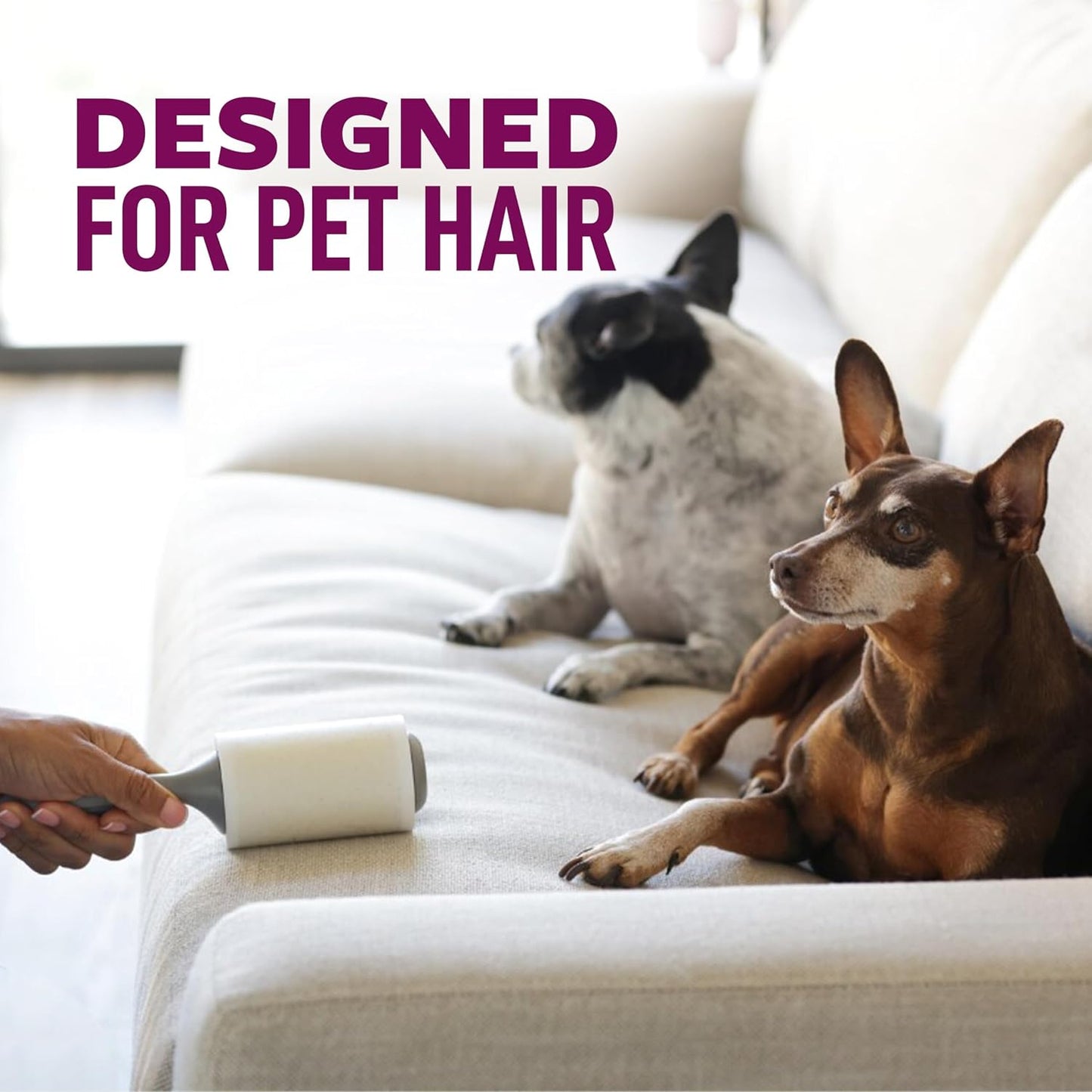 Scotch-Brite Pet Hair Pickup Extra Sticky Lint Roller, Designed for Removing Fur + Fluff on