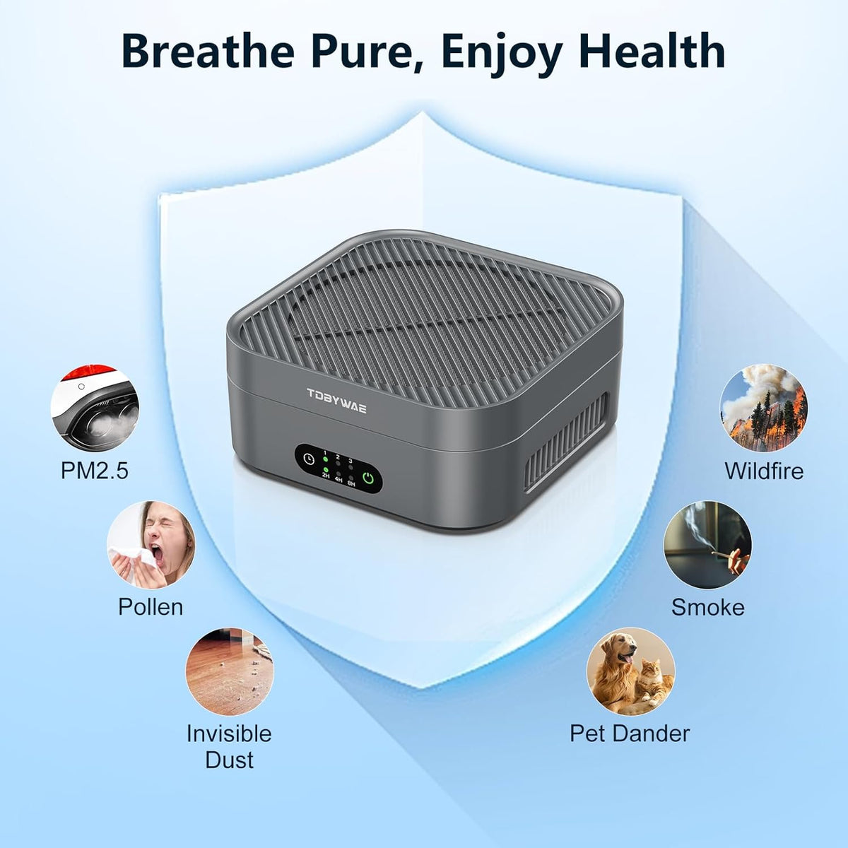 Air Purifiers for Home 600 Sq.Ft, TDBYWAE H13 True HEPA Air Purifier with USB Cable for Pets Dust