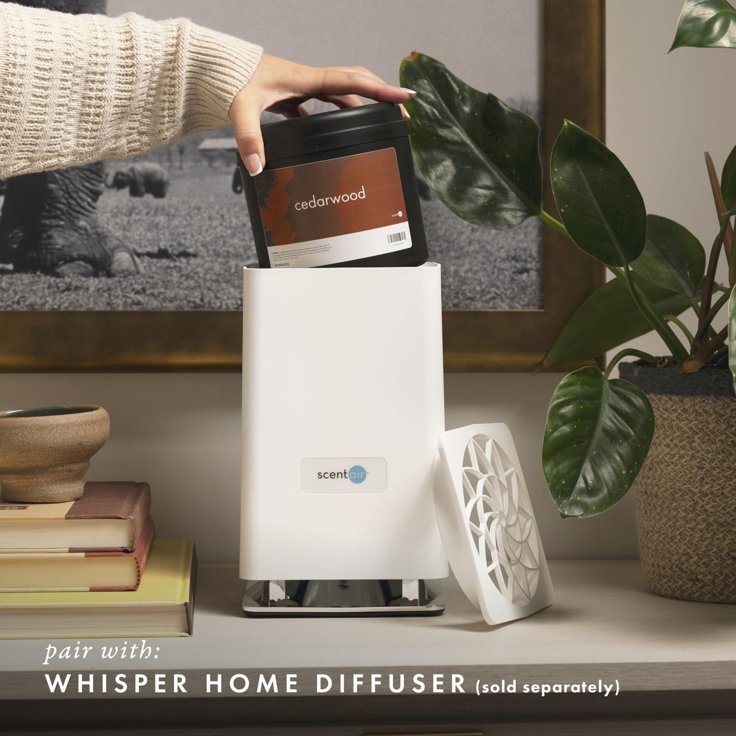 ScentAir Whisper Home Monthly Plug-in Refill, Fragrance Cartridge for Home and Office, Amazon