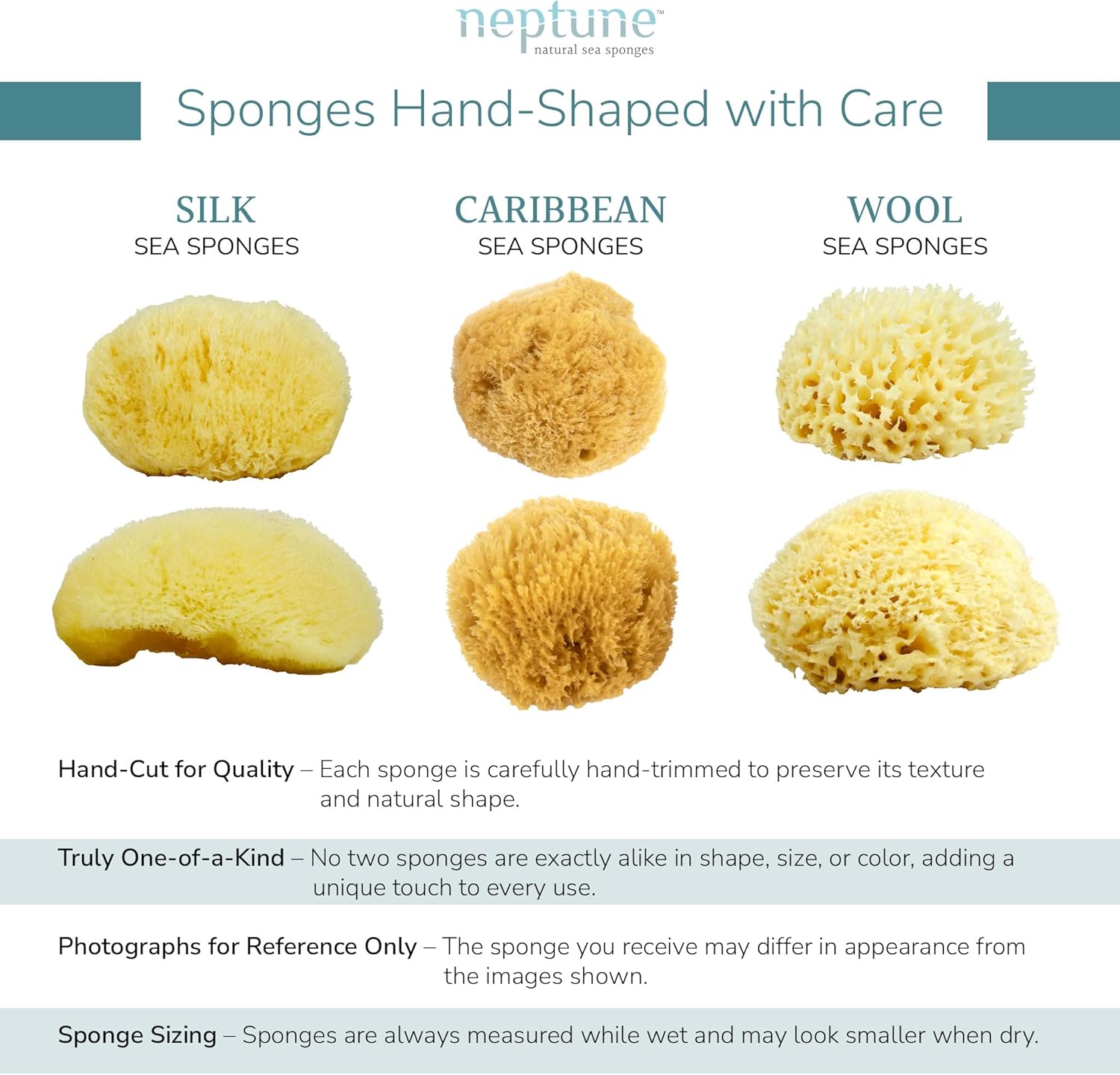 Neptune Caribbean Sea Sponge, Hand Cut, Medium, Approx. 5-6 inches