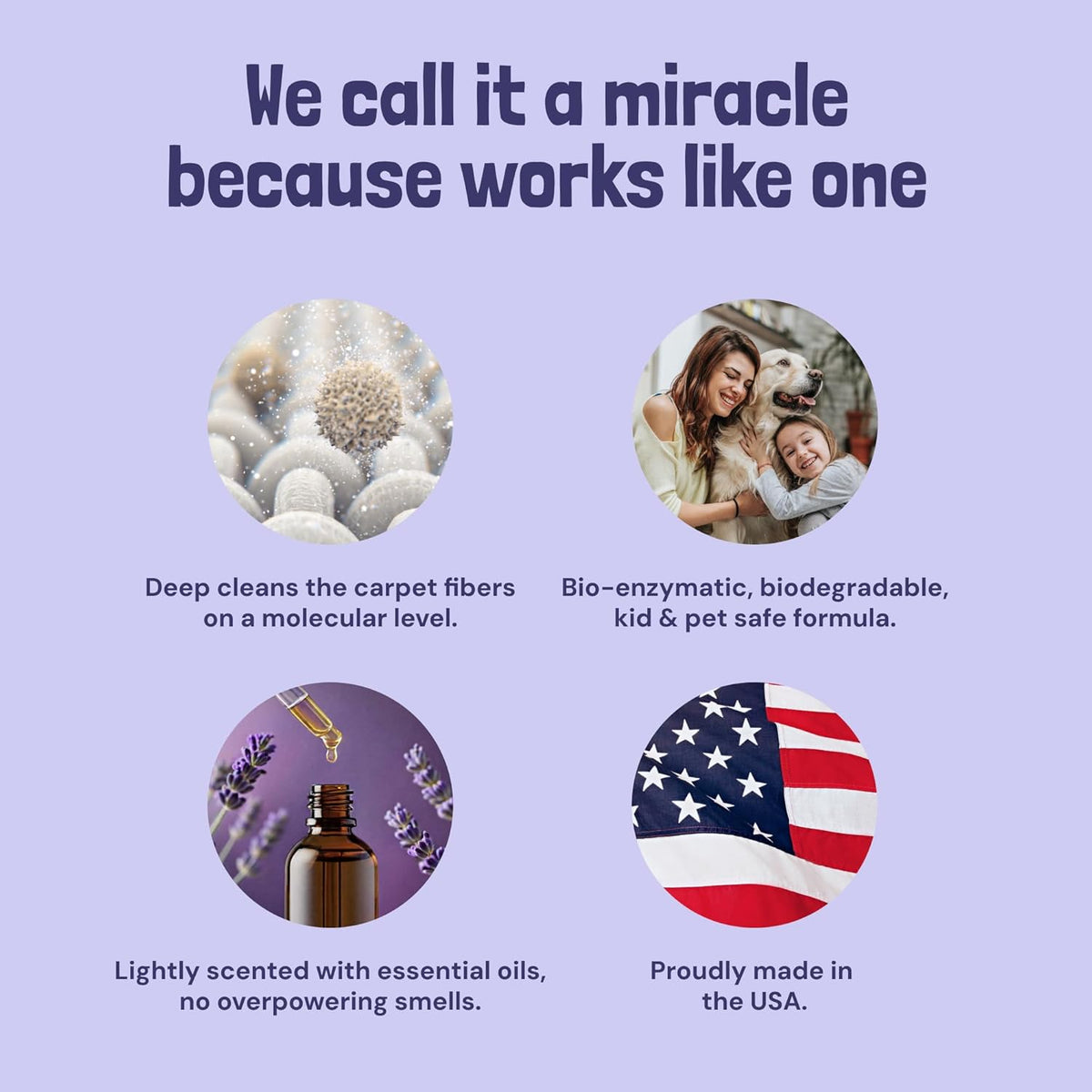 Sunny & Honey Carpet Cleaner Solution - 32 Fl Oz, Light Lavender - Deep Stain Remover & Odor